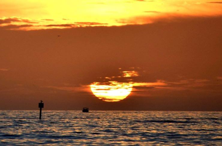 12622447_10208623670414769_2120923757734064824_o