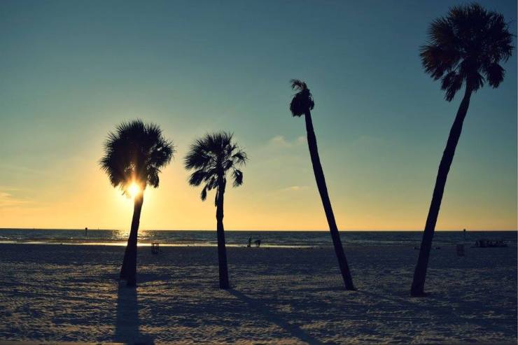 12828967_10208906411003107_3221698704779955484_o