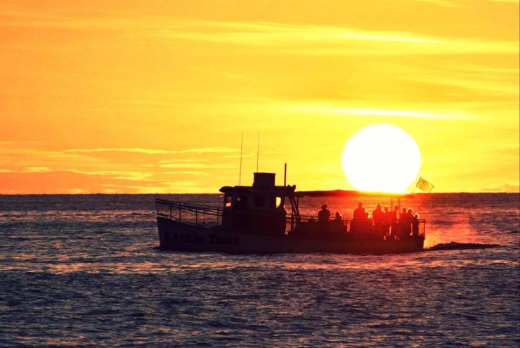 13392176_10209678122455411_5671505879996692735_o