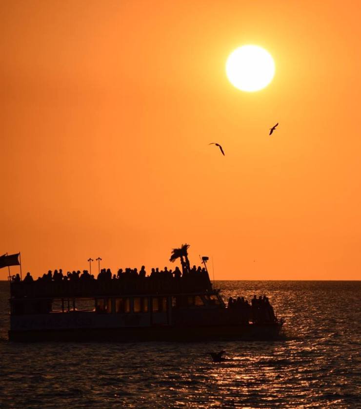 13528691_10209840582596813_7089694160236736898_n