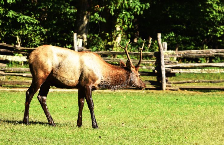 DSC_0373 - Edited.jpg